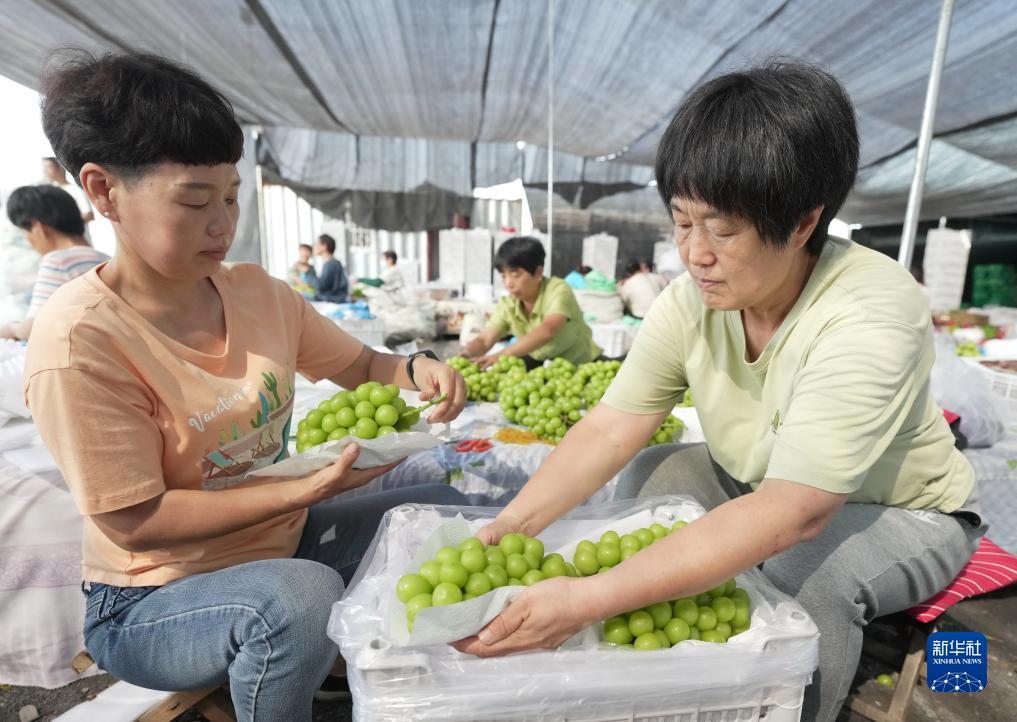捕鱼网页版在线